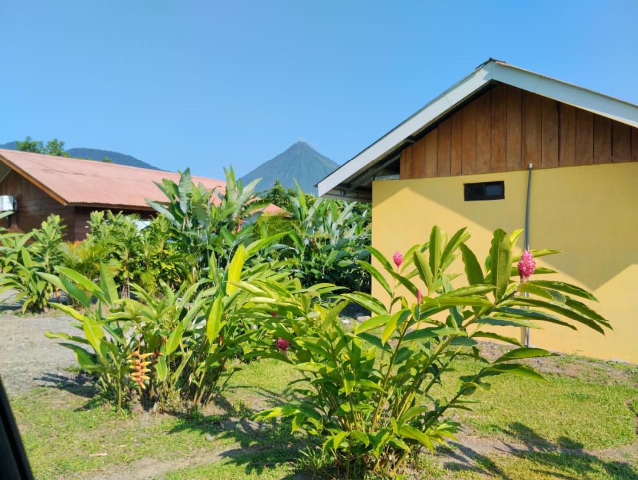 Cabana Rural Ave Del Paraiso La Fortuna Luaran gambar