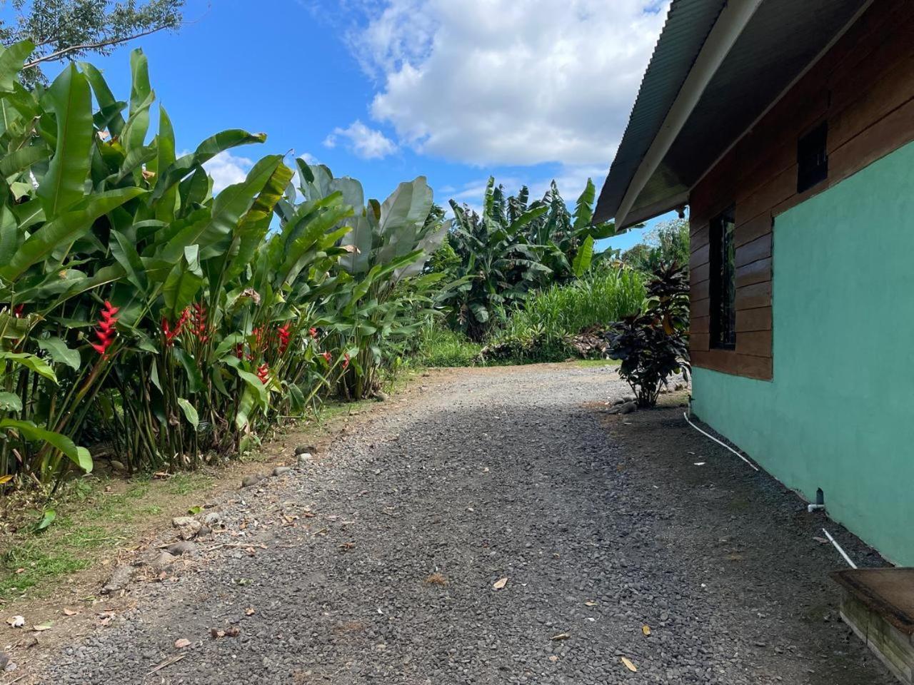 Cabana Rural Ave Del Paraiso La Fortuna Luaran gambar