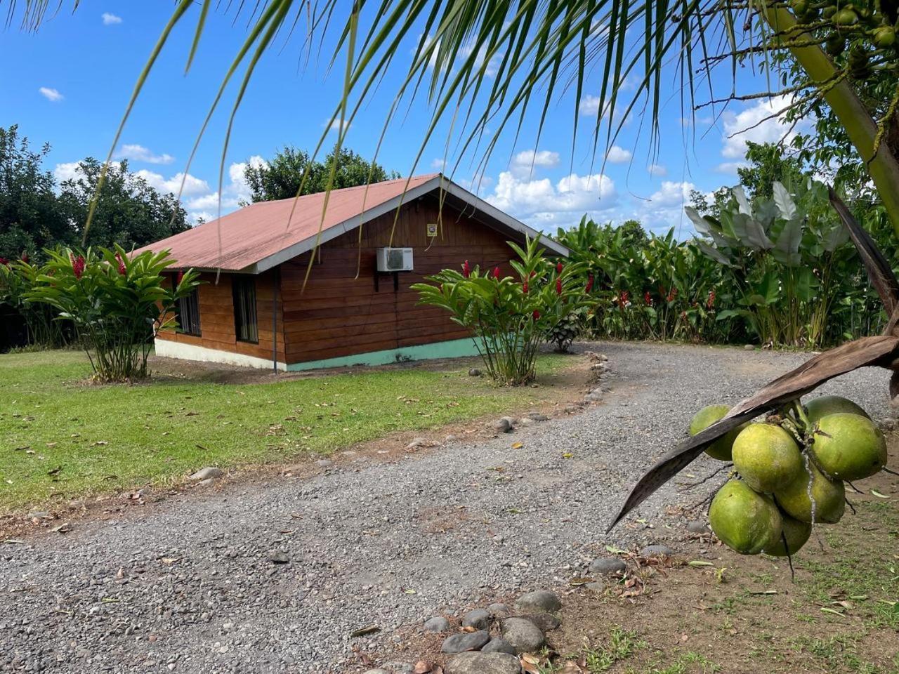 Cabana Rural Ave Del Paraiso La Fortuna Luaran gambar